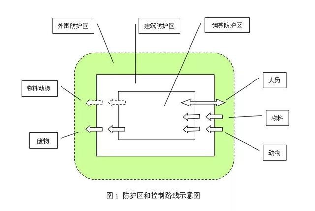 關於動物房美女黄色网址建設的規範方案